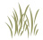 grass
