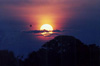 wakosunrise
